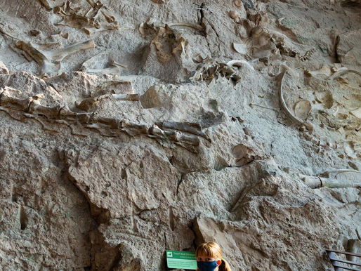 Dinosaur National Monument, Utah