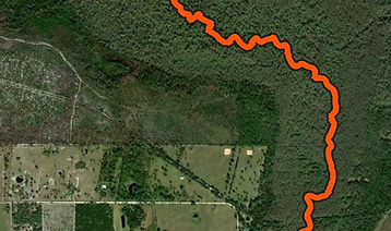 Paddle route map from Strava showing a trip through Arbuckle Creek, Florida.