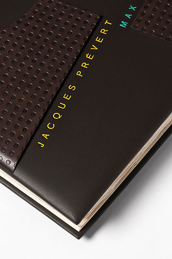 garrec,photographe,reliure brindeau relieur, meneur de lune