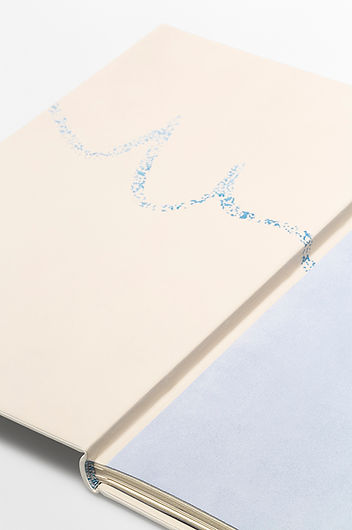 garrec,photographe,reliure brindeau relieur, meneur de lune