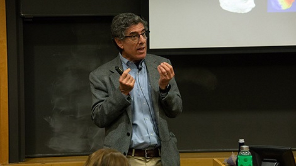 The Emotional Life of the Brain