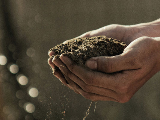 Nutrient-rich food begins in nutrient-rich soil