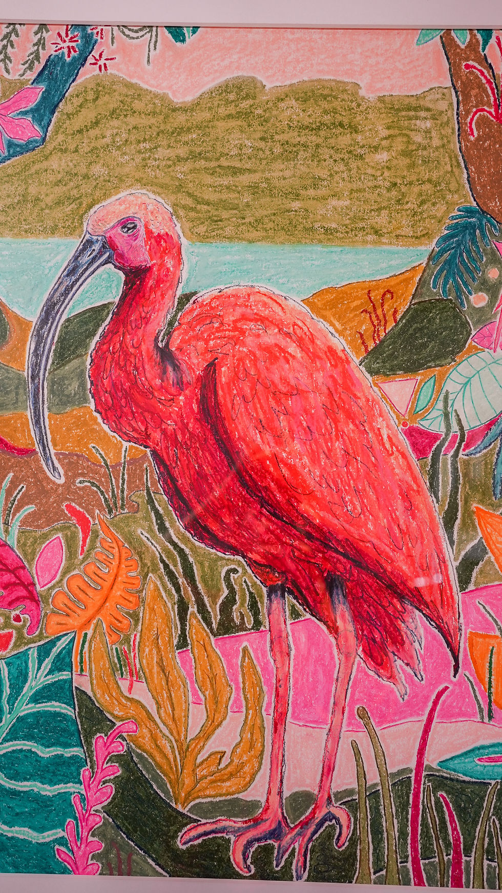 Miniature : Ibis - Oiseaux exotiques