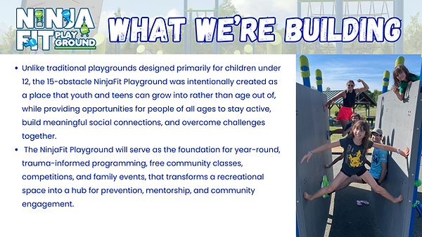 NinjaFit Playground Project Overview.png