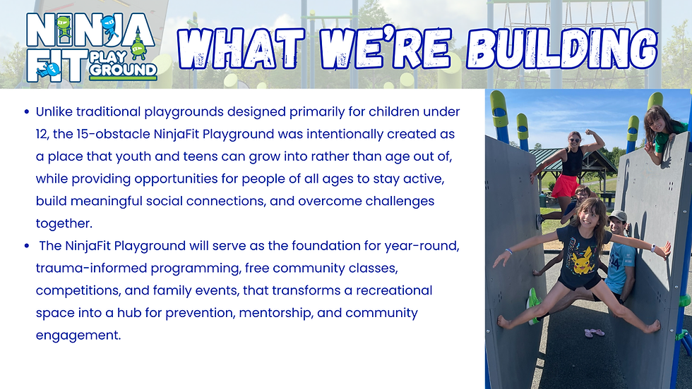 NinjaFit Playground Project Overview.png