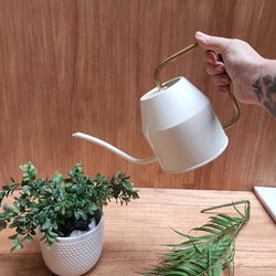 Regadera Marfil God Ikea