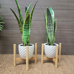 Maceteros Bamboo Ikea