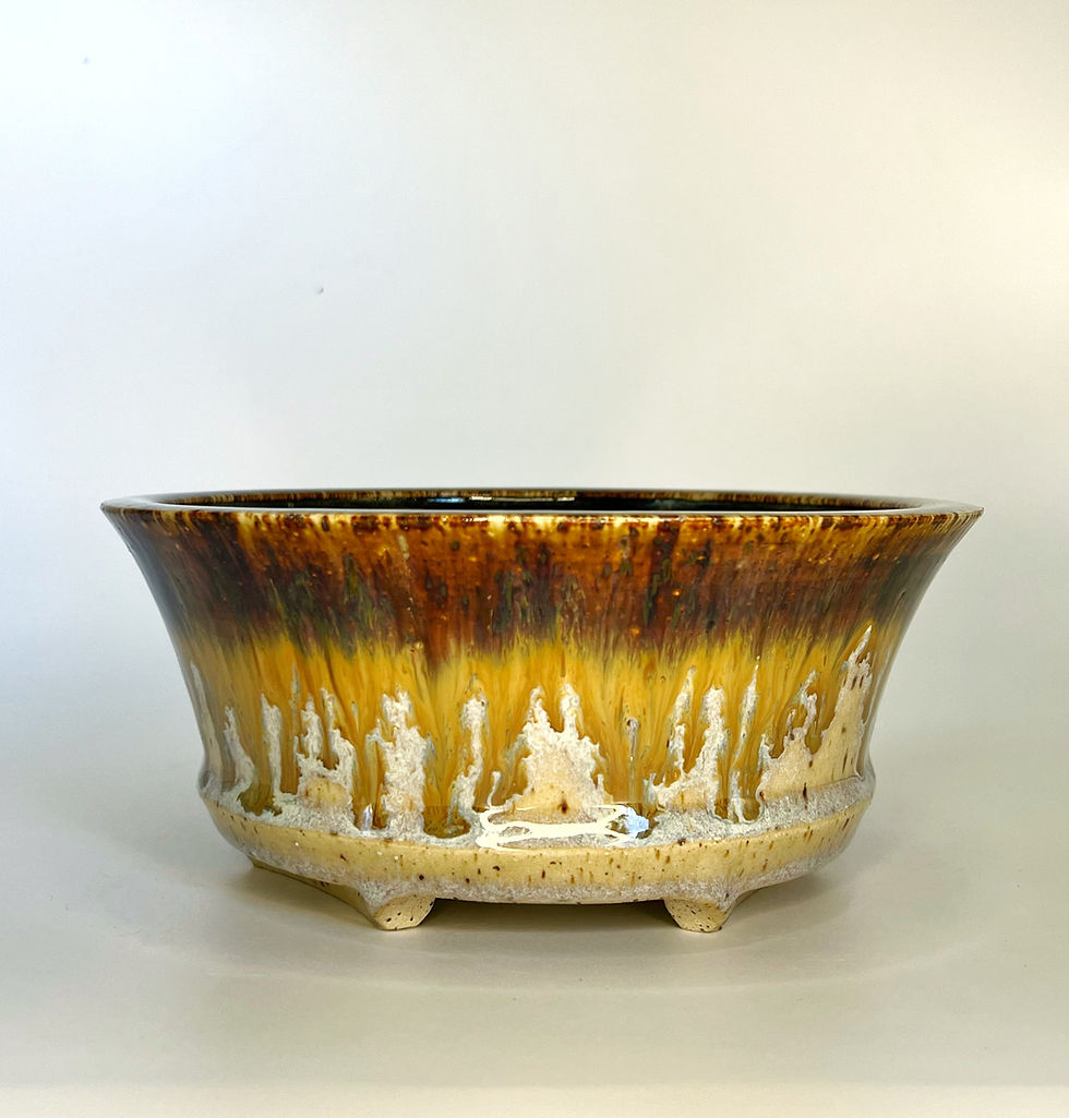 Thumbnail: Speckled Dripping Rim