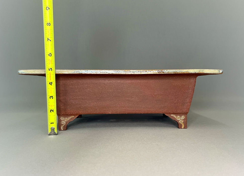 Thumbnail: Wide Rim Red Rectangle