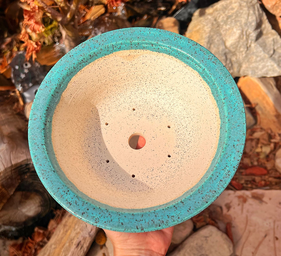 Thumbnail: Robbins Egg Cherry Blossom Round