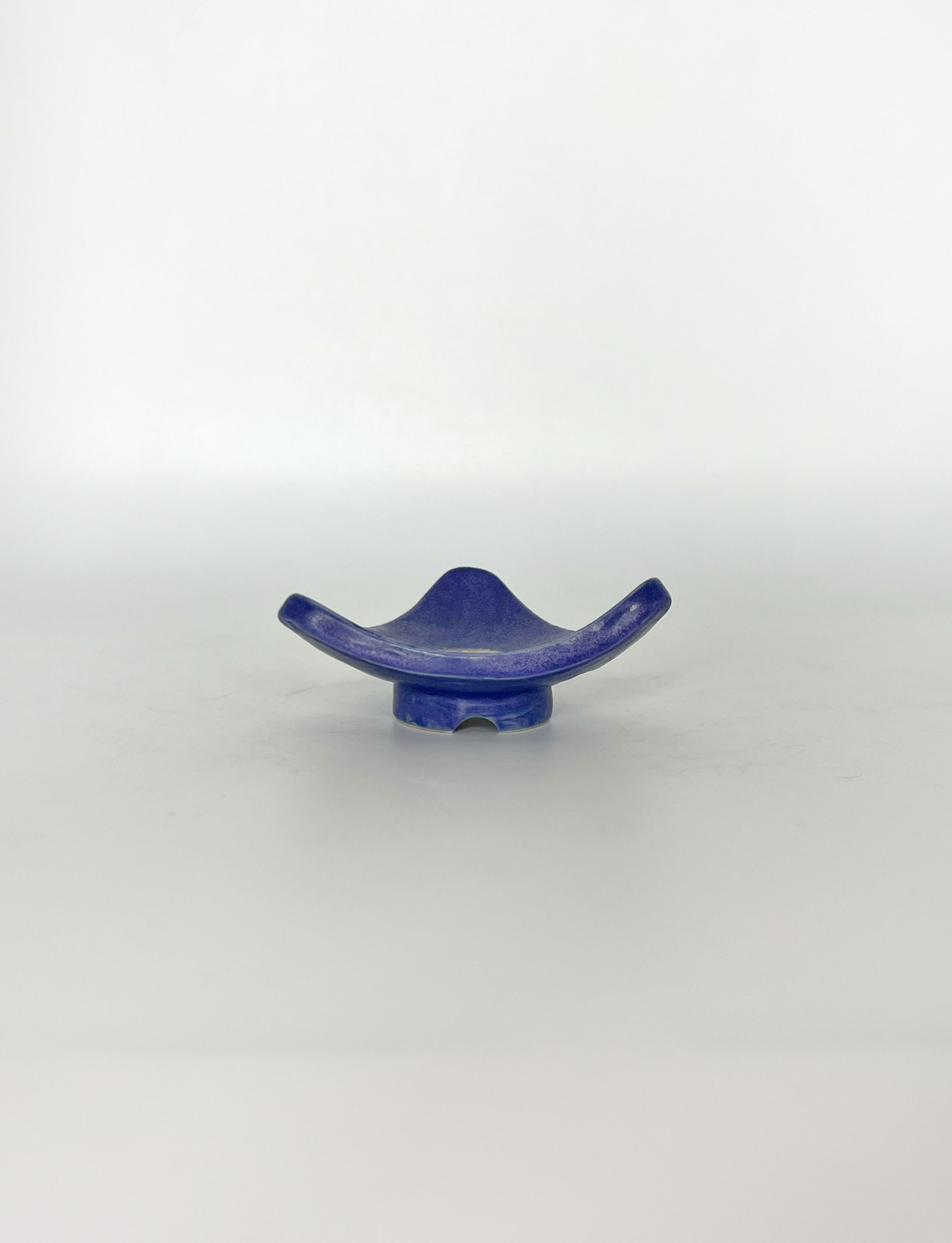 Bright Purple Accent