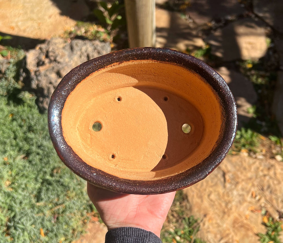 Thumbnail: Metallic Oval