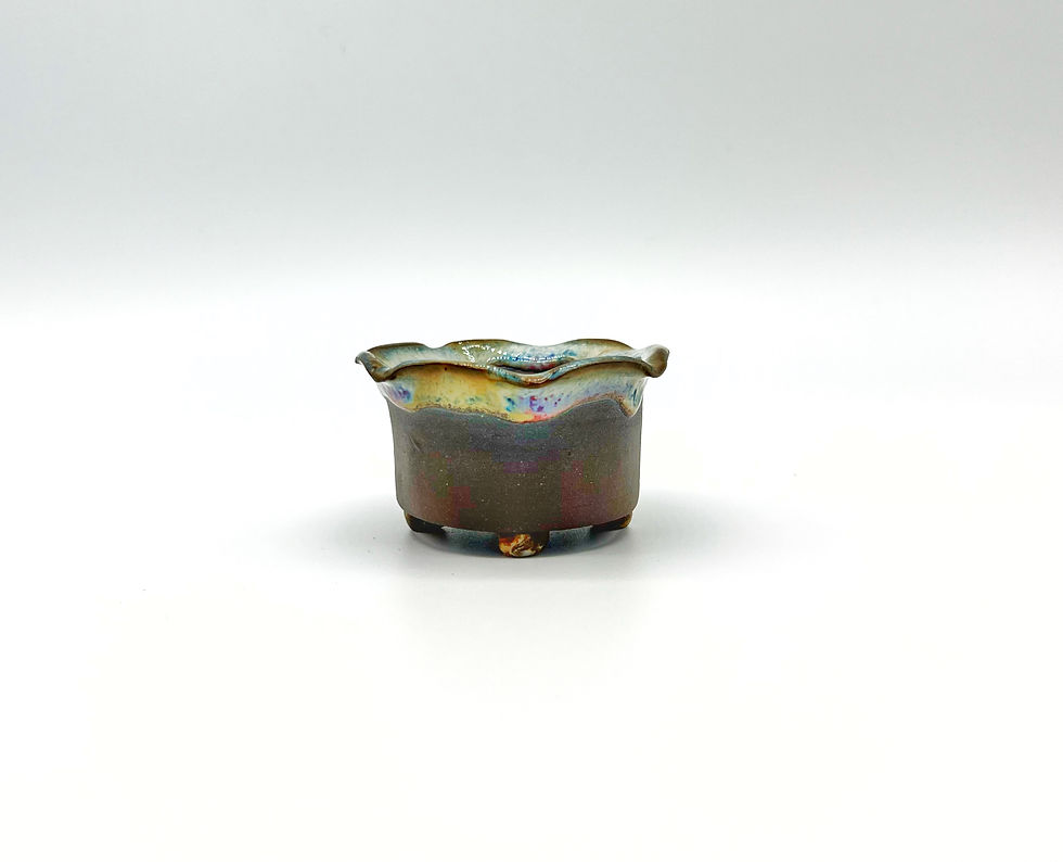 Thumbnail: Chocolate Flower Mame