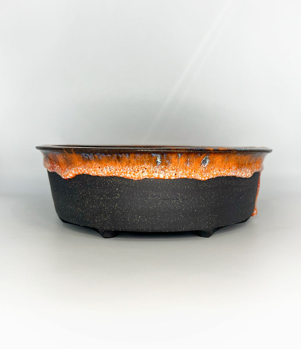 Thumbnail: Orange Rim Dark Oval