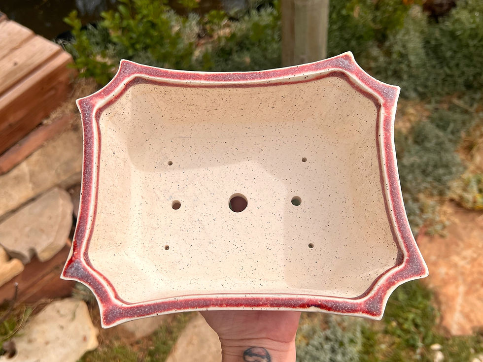 Thumbnail: Smooth Red Rectangle