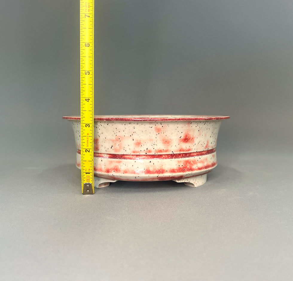 Thumbnail: White & Red Speckled Round
