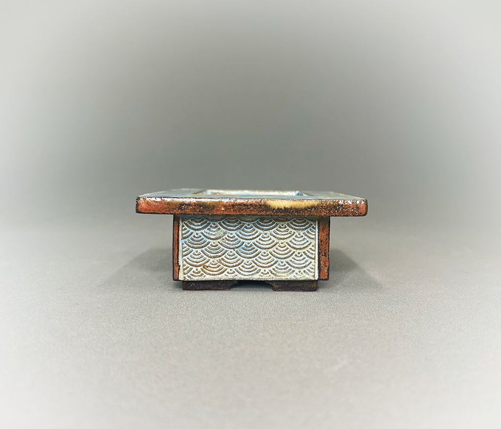 Thumbnail: Small Copper with Blue Rectangle