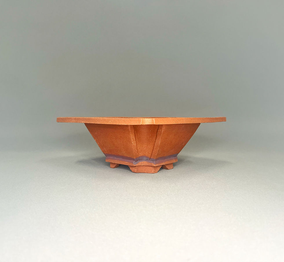 Thumbnail: Unglazed Wide Rim