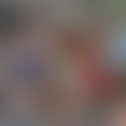 Colônia de Férias fortalece vínculos e amplia repertórios no Casa Favela