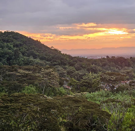 WhatsApp Image 2026-01-08 at 12.40.43.jpeg