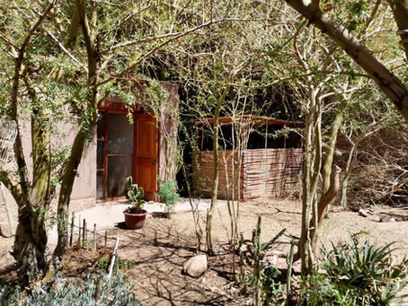 Una invitación a desconectarse unos días, a repensar el mundo textil, a teñir con tintes naturales y bordar. Un momento único de conexión con la naturaleza