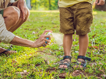 Projeto Composte-se Urbano ensina a fazer repelente natural e em investir em plantas que afastam os insetos.