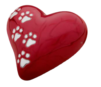 Thumbnail: LovePaws Urn