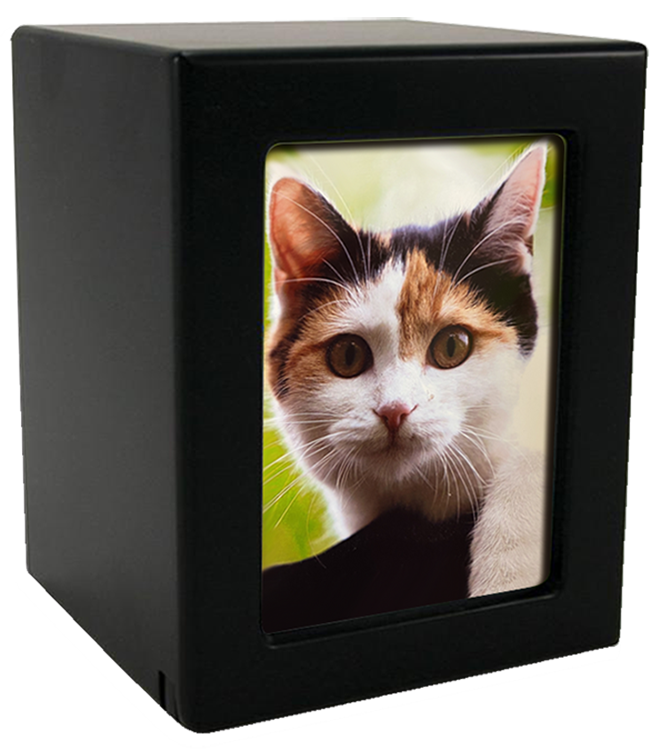 Thumbnail: Photo Urn