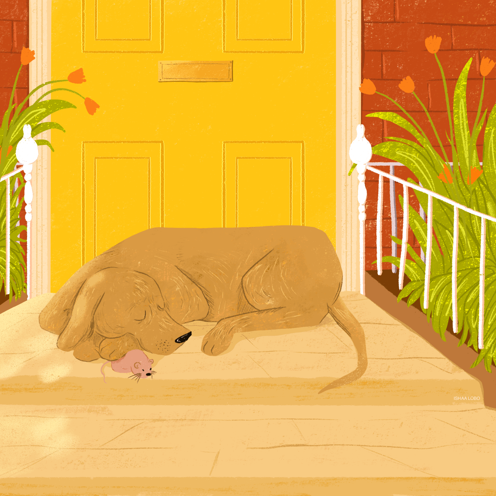 IMG-6454.GIF