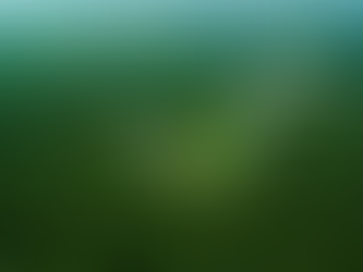 O papel do Brasil na agenda climática internacional: desafios e responsabilidades