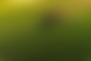 O Papel do Agronegócio na Economia Nacional