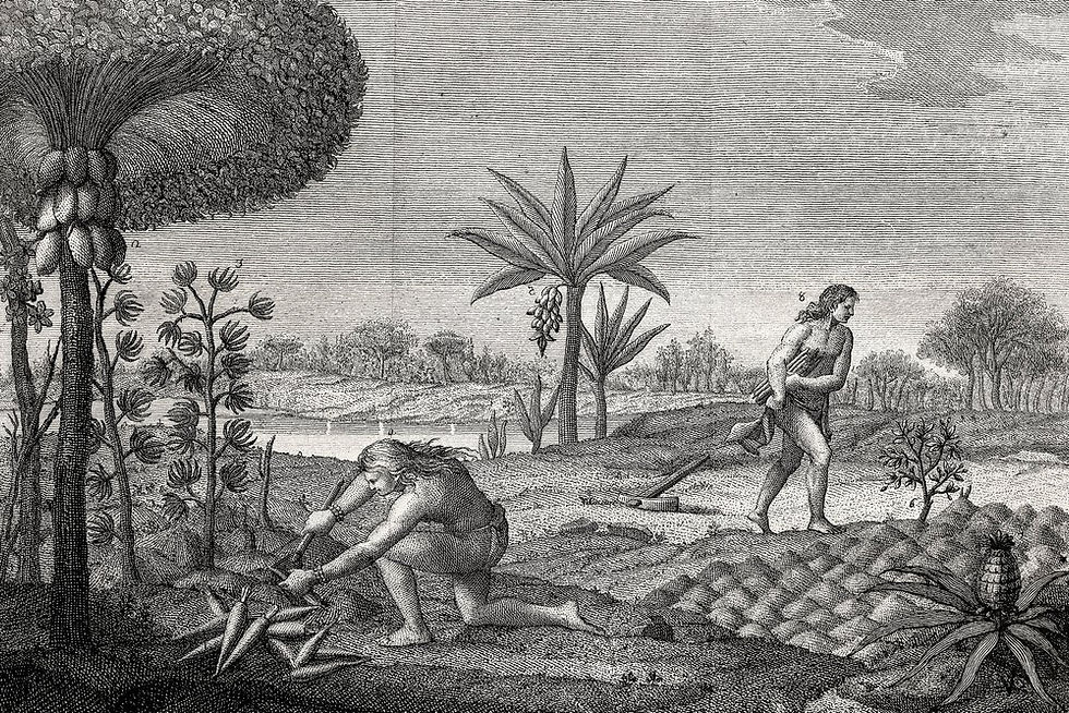 Indígenas trabalhando na terra na bacia do Orinoco, na Colômbia. Gravura de 1780. Artista desconhecido