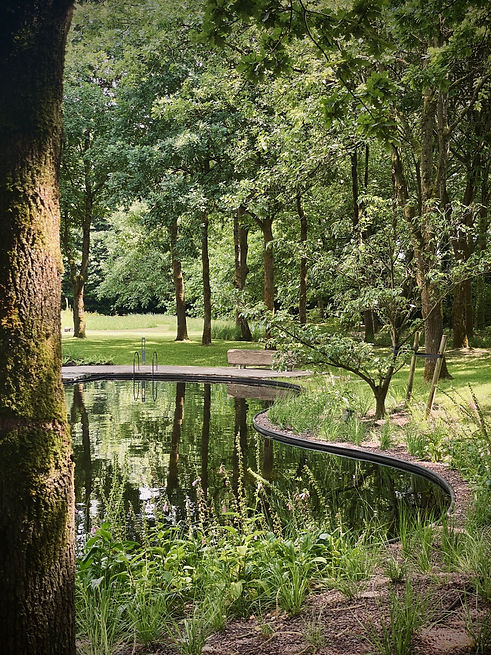 Wuustwezel - BSDS - 01.jpg