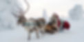 23982173lpw-23986398-article-jpg_10005763_1250x625.jpg