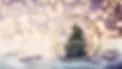 sapins-de-noel.webp