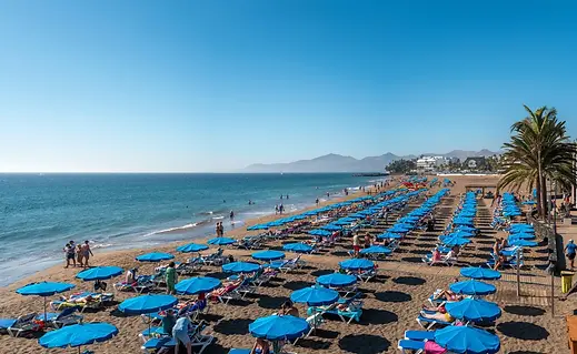 2s9ge0w-view-sandy-beach-rows-1065768395.webp