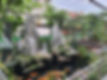 received_441789804182234.jpeg