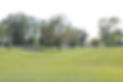 13 tee
