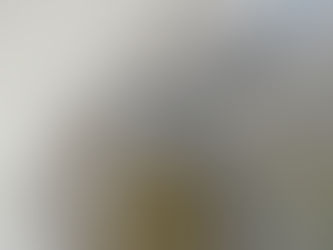 三田さんのピエトロ・ジャコモ・ルジェーリ制作記３0