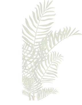 pianta vect.png