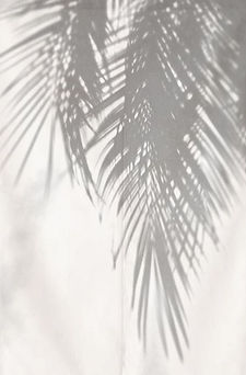 0737d0ff35baa3968e5f6743ed08a9c3.jpg