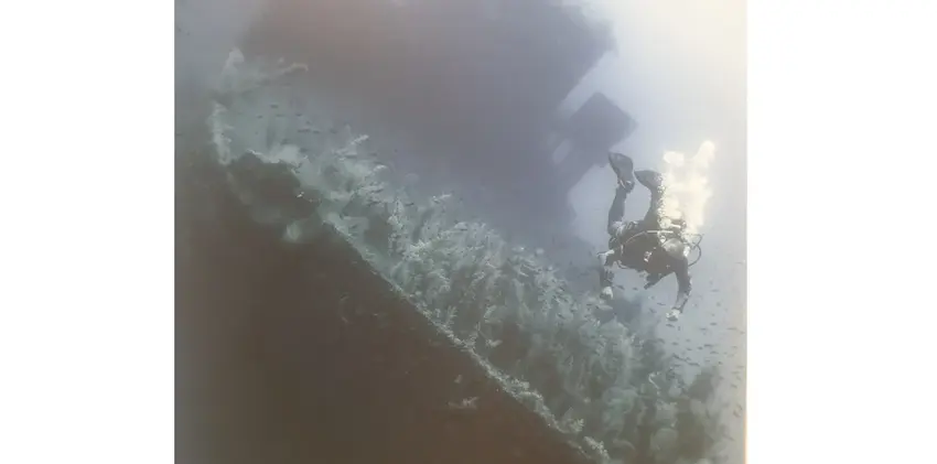 ArT'chéologie Sous-Marine