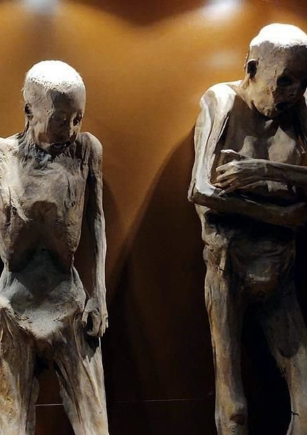 momias museo.jpg