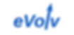 logo-partner-evolv.png