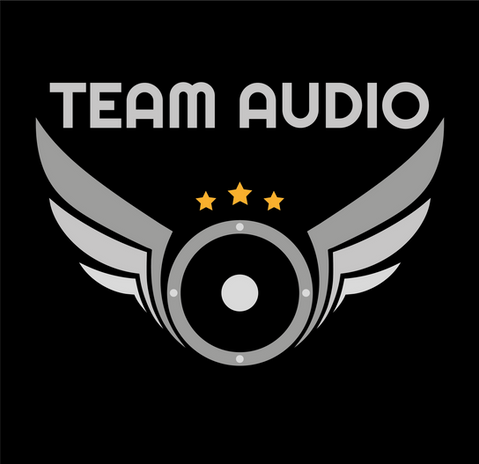 Team Audio Logo