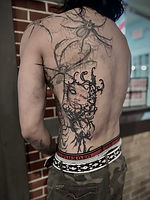 IMG_3270.jpeg