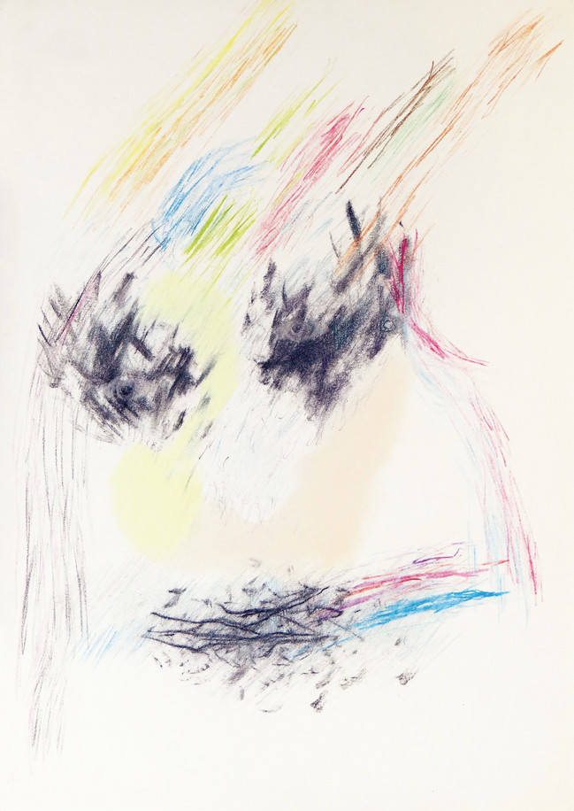 «Série dessins diaphanes», «Tête n°51» 1998, pastel sec sur papier, 40,4 x 29,5 cm
