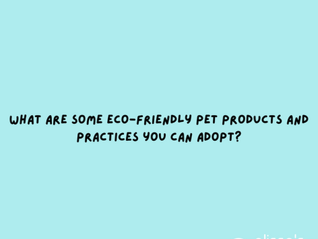What Are Some Eco-Friendly Pet Products and Practices You Can Adopt?