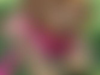 House Training Tips for Puppies and Kittens 🐶🐱✨