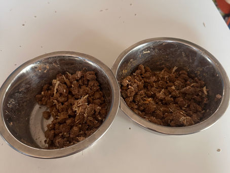 How to Read Pet Food Labels: What Ingredients Matter Most 🐾🥣